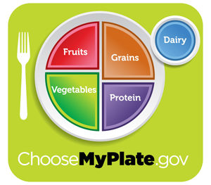 USDA’s new food icon: from pyramid to plate!