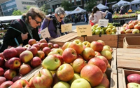 Dr. Young shares insight on New Yorkers not getting enough fruits and vegetables.