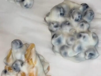 Recipe of the week: Blueberry yogurt clusters